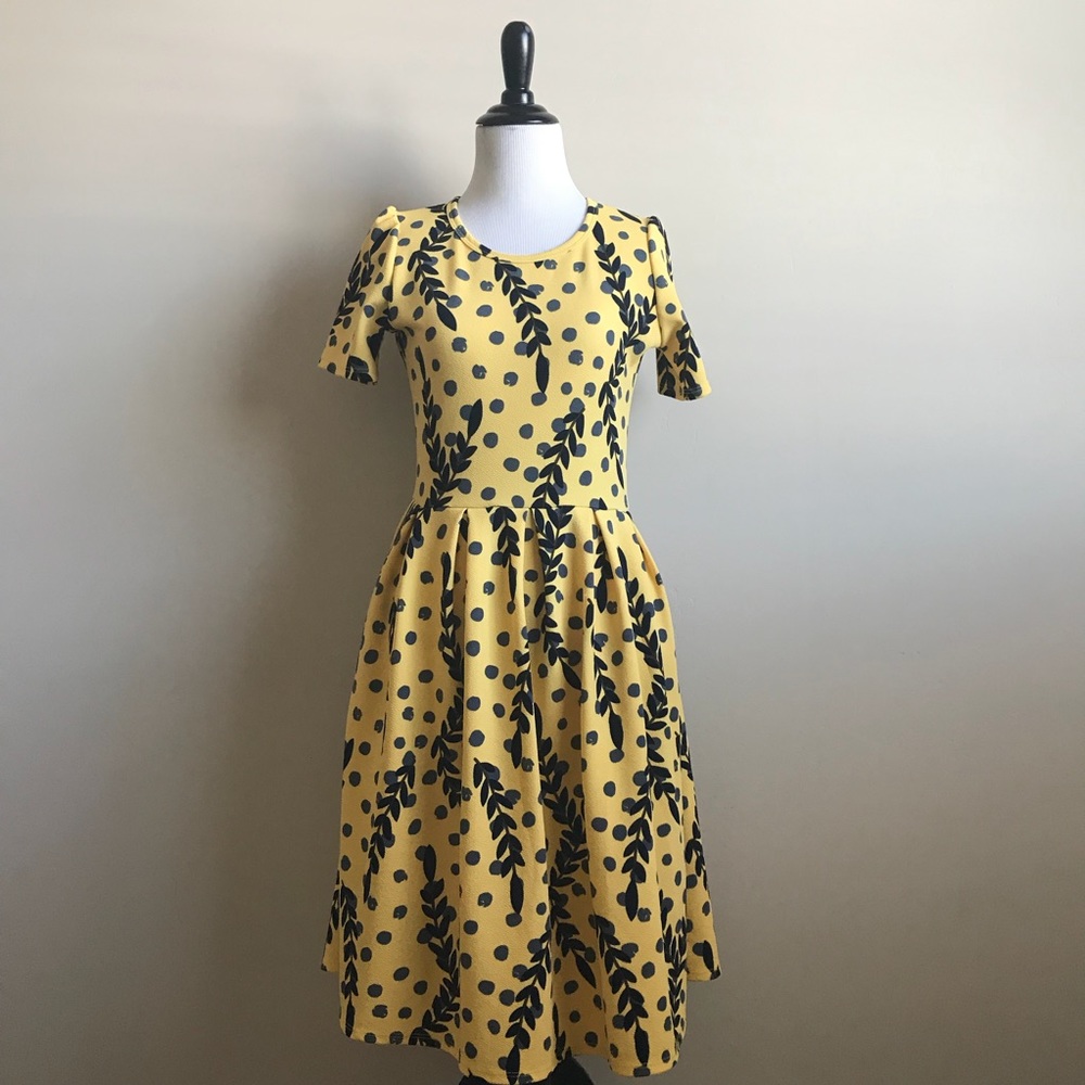 LuLaRoe Shine Project Amelia Dress
